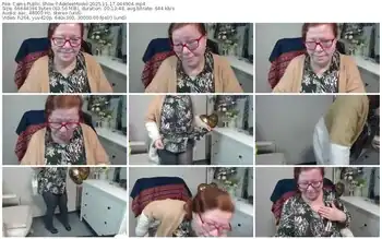 cams-adeleemodel-11-17-2025-04-49-04