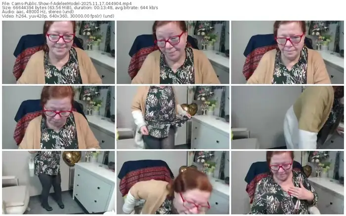 cams-adeleemodel-11-17-2025-04-49-04