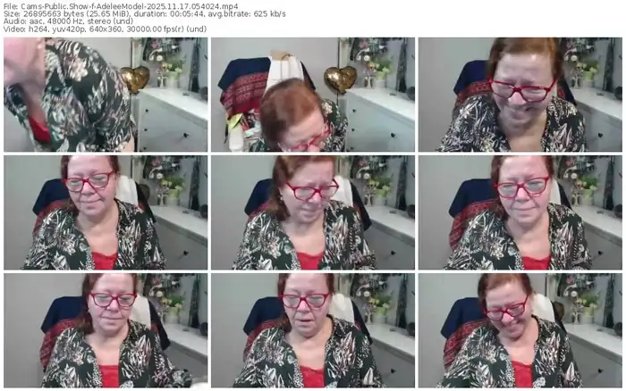 cams-adeleemodel-11-17-2025-05-40-24