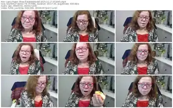 cams-adeleemodel-11-17-2025-07-20-45