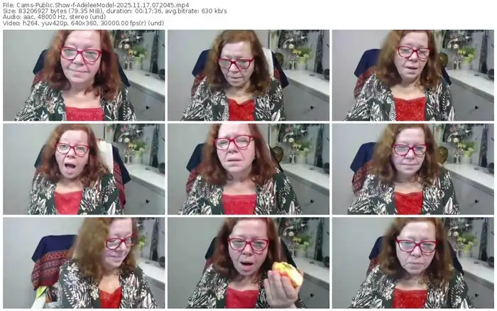 cams-adeleemodel-11-17-2025-07-20-45