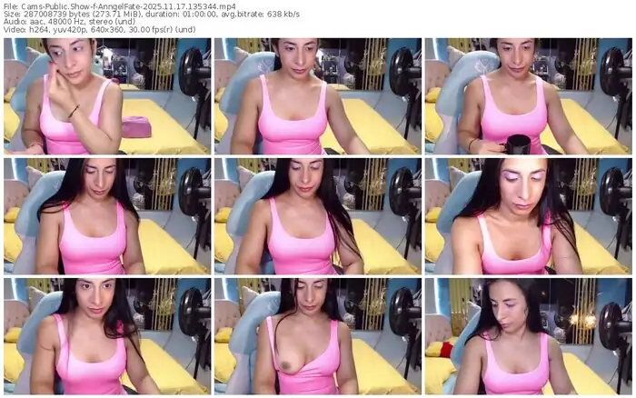 cams-anngelfate-11-17-2025-13-53-44