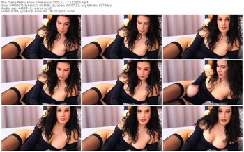 cams-perfectits-11-17-2025-11-26-00