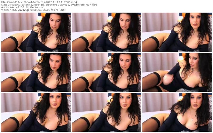 cams-perfectits-11-17-2025-11-26-00