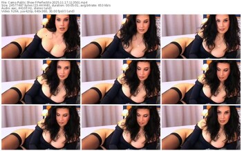 cams-perfectits-11-17-2025-11-35-01