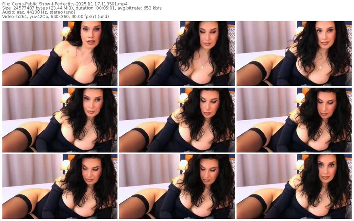 cams-perfectits-11-17-2025-11-35-01