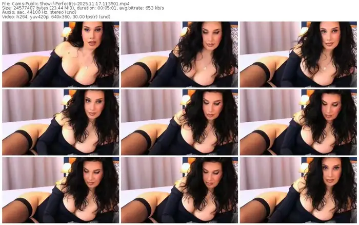 cams-perfectits-11-17-2025-11-35-01