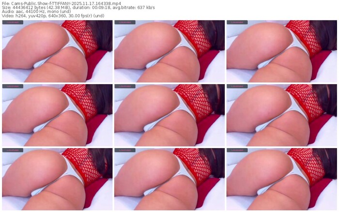 cams-ttiffany-11-17-2025-16-43-38