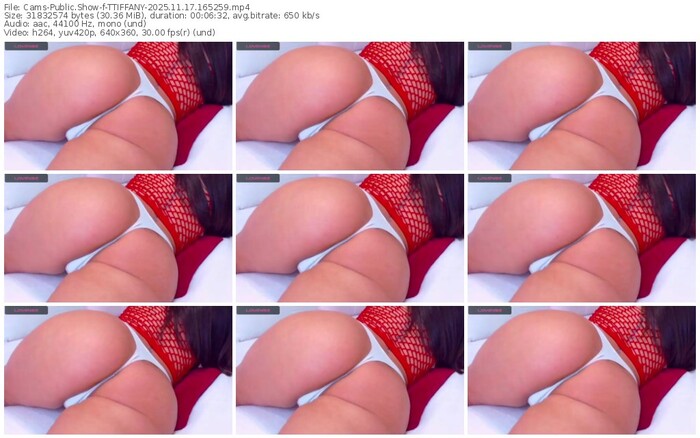 cams-ttiffany-11-17-2025-16-52-59