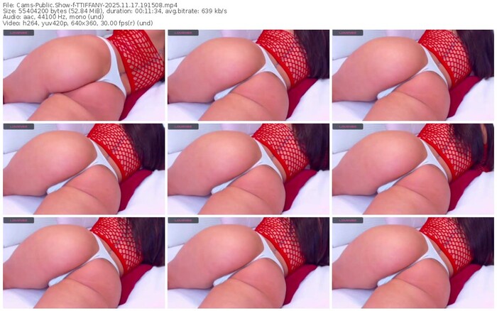 cams-ttiffany-11-17-2025-19-15-08