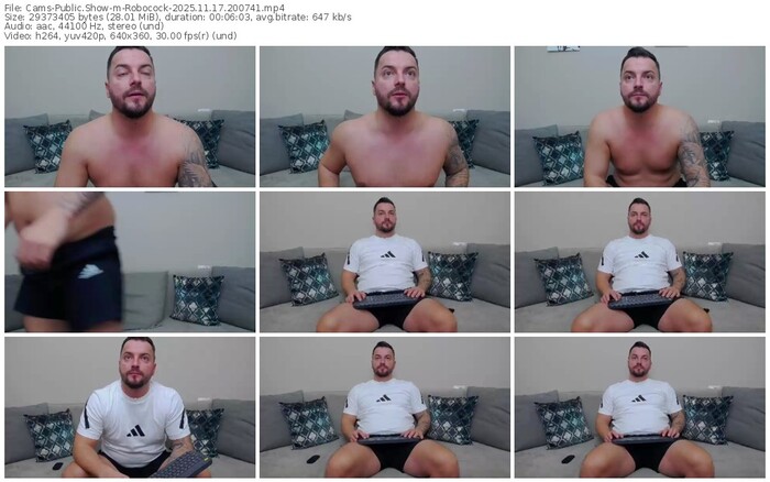 cams-robocock-11-17-2025-20-07-41