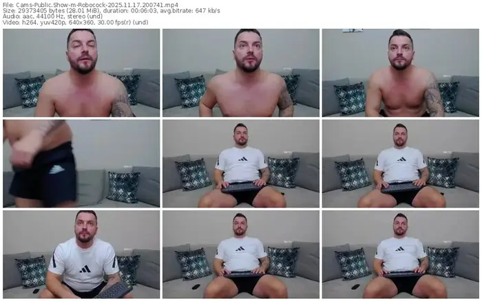 cams-robocock-11-17-2025-20-07-41