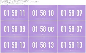 cams-ff_mur-11-17-2025-00-02-50