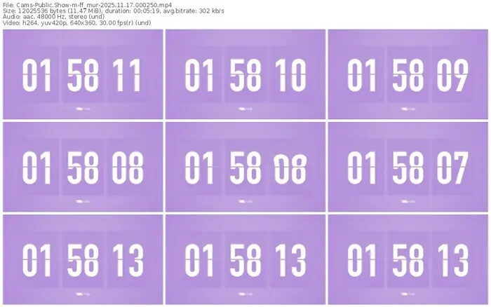 cams-ff_mur-11-17-2025-00-02-50
