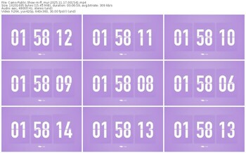 cams-ff_mur-11-17-2025-00-15-41