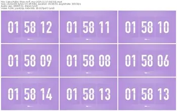 cams-ff_mur-11-17-2025-00-15-41