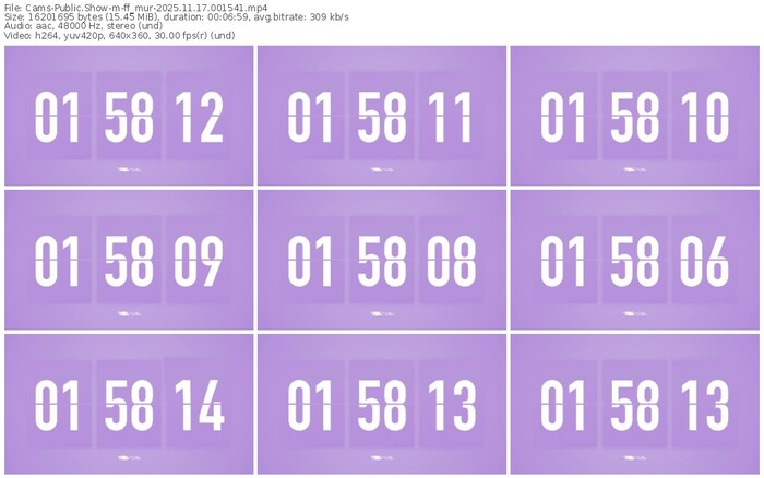 cams-ff_mur-11-17-2025-00-15-41