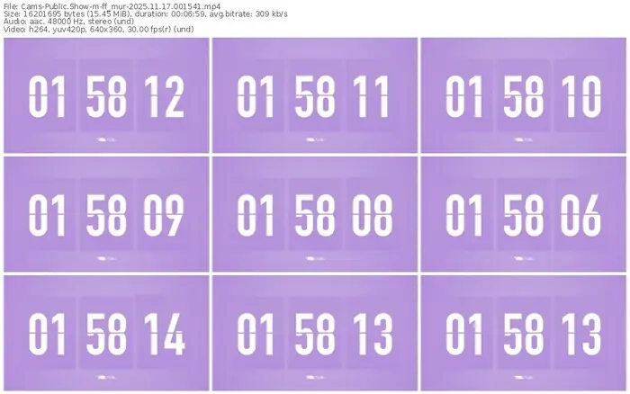 cams-ff_mur-11-17-2025-00-15-41
