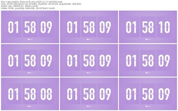 cams-ff_mur-11-17-2025-00-32-50