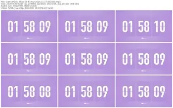 cams-ff_mur-11-17-2025-00-32-50