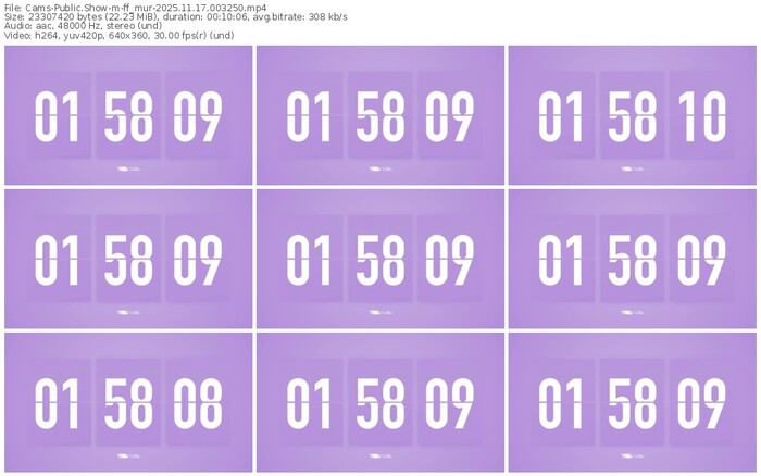 cams-ff_mur-11-17-2025-00-32-50