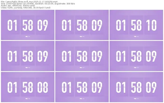 cams-ff_mur-11-17-2025-00-32-50
