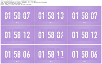 cams-ff_mur-11-17-2025-00-57-15