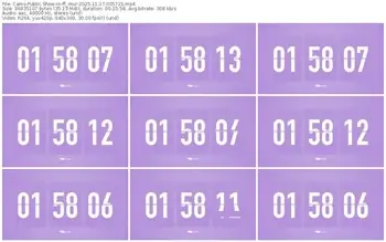 cams-ff_mur-11-17-2025-00-57-15