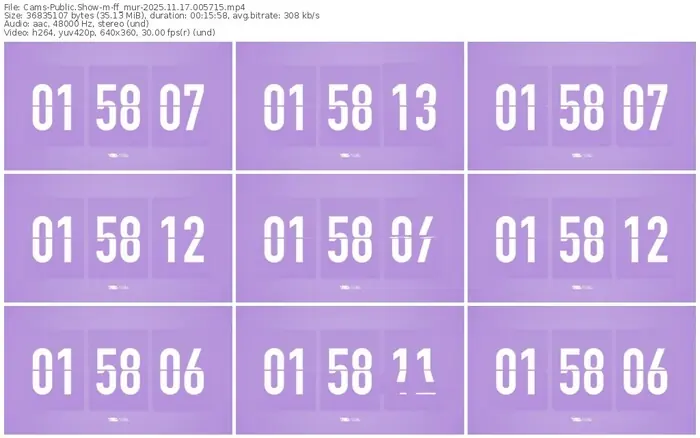 cams-ff_mur-11-17-2025-00-57-15