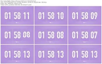 cams-ff_mur-11-17-2025-01-37-54