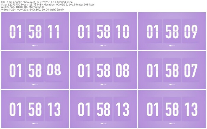 cams-ff_mur-11-17-2025-01-37-54