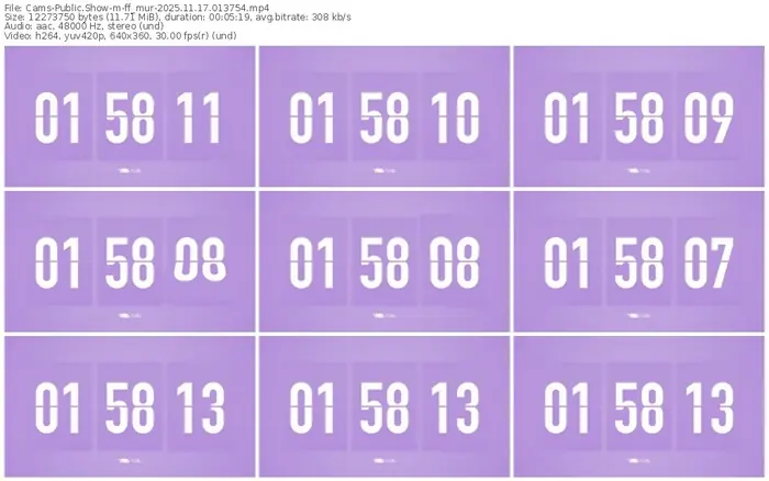 cams-ff_mur-11-17-2025-01-37-54