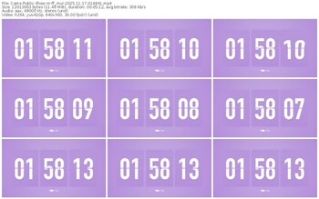 cams-ff_mur-11-17-2025-01-48-41