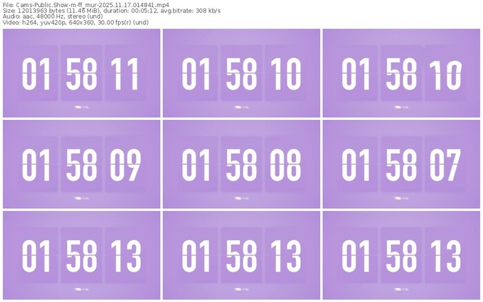 cams-ff_mur-11-17-2025-01-48-41
