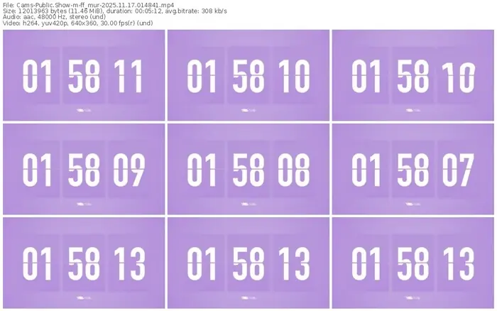 cams-ff_mur-11-17-2025-01-48-41