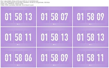 cams-ff_mur-11-17-2025-01-55-00