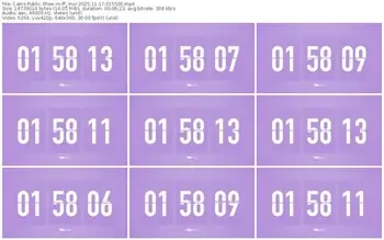 cams-ff_mur-11-17-2025-01-55-00