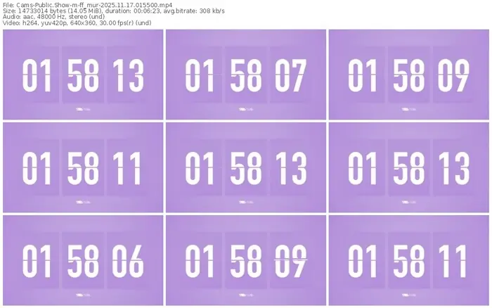 cams-ff_mur-11-17-2025-01-55-00
