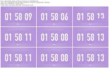 cams-ff_mur-11-17-2025-02-03-09