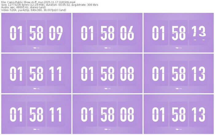 cams-ff_mur-11-17-2025-02-03-09