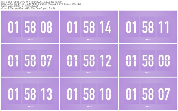 cams-ff_mur-11-17-2025-02-58-43