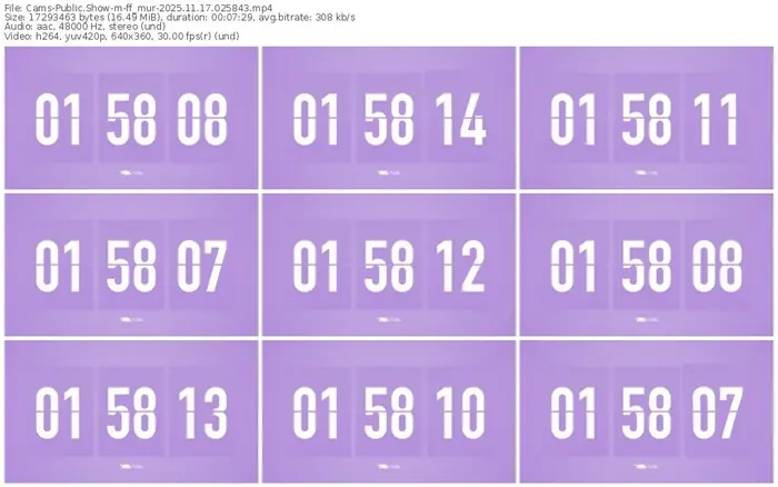 cams-ff_mur-11-17-2025-02-58-43