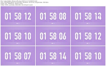 cams-ff_mur-11-17-2025-03-36-37