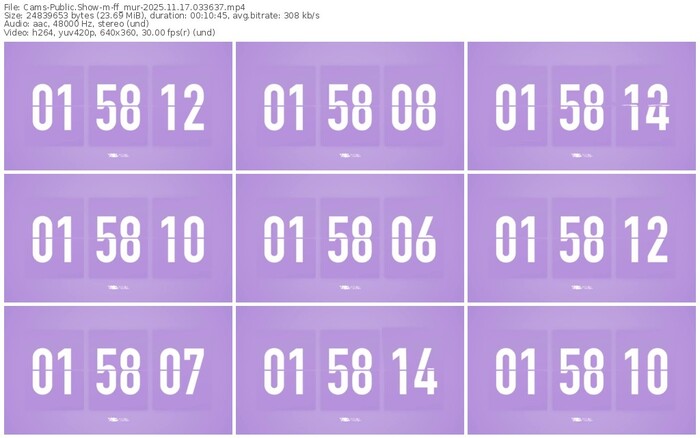 cams-ff_mur-11-17-2025-03-36-37