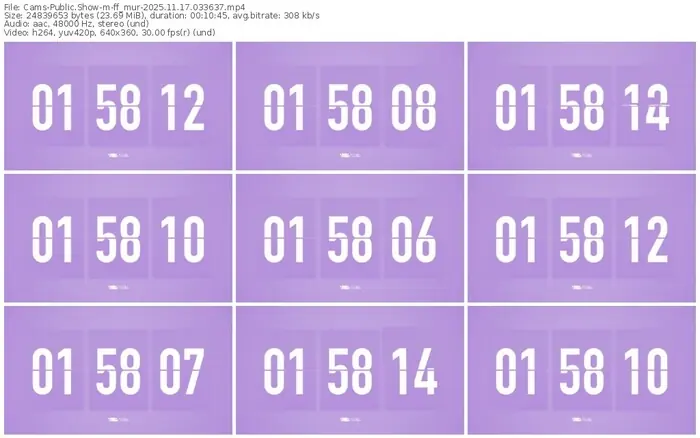 cams-ff_mur-11-17-2025-03-36-37