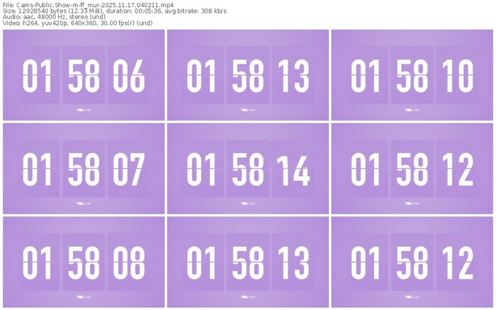 cams-ff_mur-11-17-2025-04-02-11