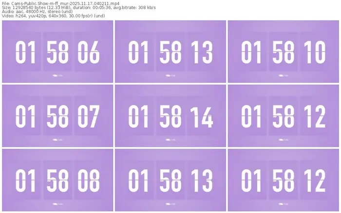 cams-ff_mur-11-17-2025-04-02-11