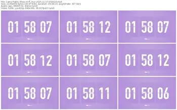 cams-ff_mur-11-17-2025-05-06-14