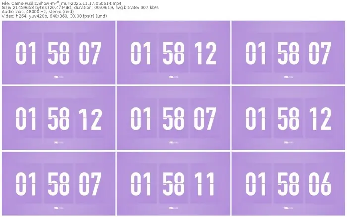 cams-ff_mur-11-17-2025-05-06-14