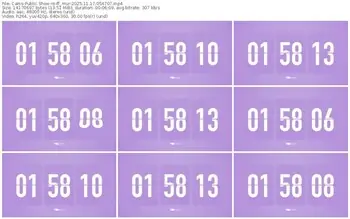 cams-ff_mur-11-17-2025-05-47-07